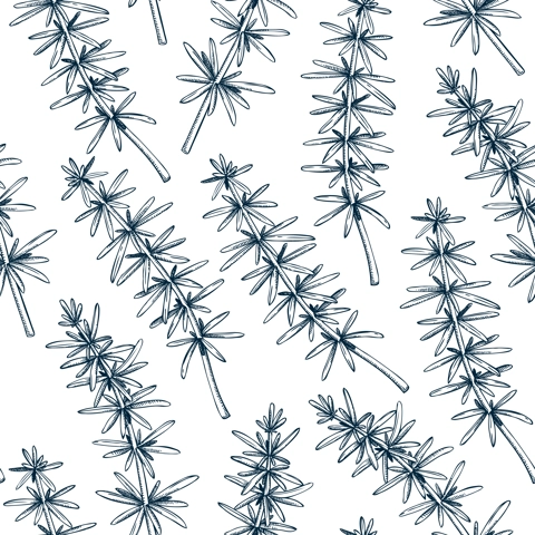 Edible seaweed background in sketch style. Vector food illustration. Hijiki drawings. Underwater plants seamless pattern for textile, packaging, wrapping paper or prints.